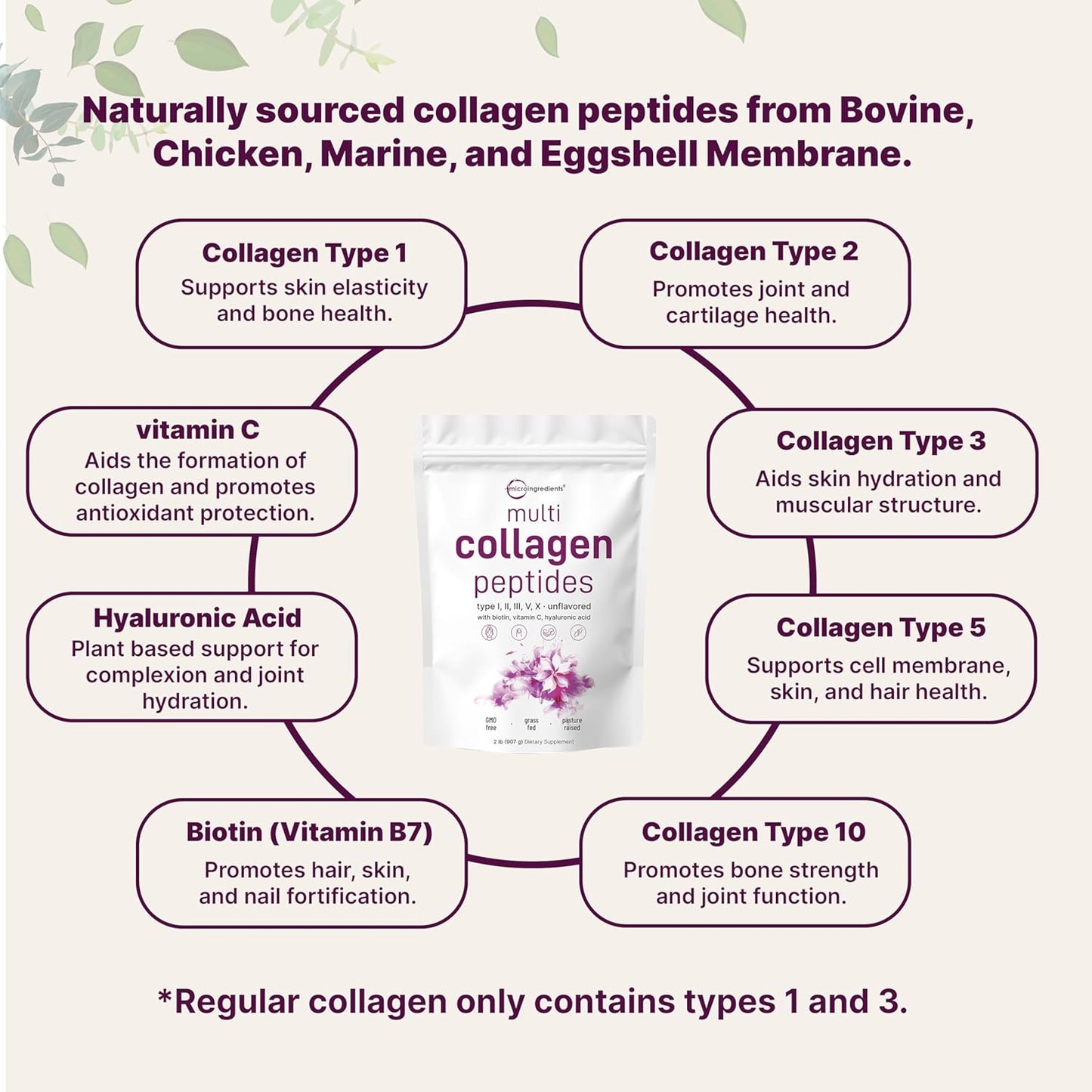 Multi Collagen Peptides